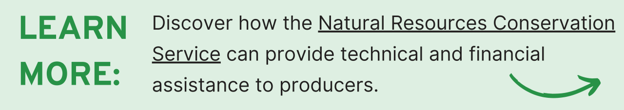 Learn more: Discover how the Natural Resources Conservation Service can provide technical and financial assistance to producers.