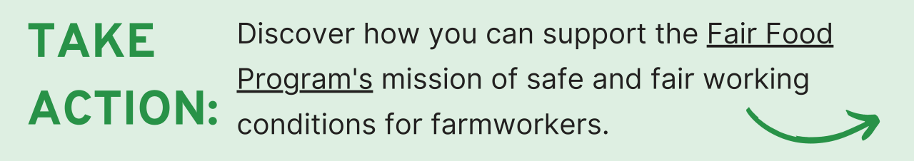 Take Action: Discover how you can support the Fair Food Program's mission of safe and fair working conditions for farmworkers.