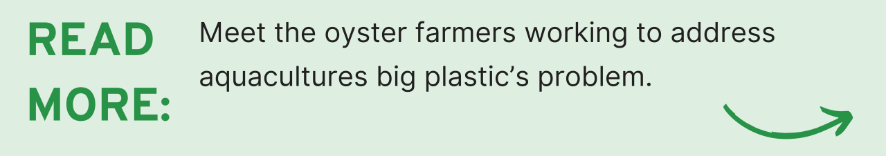 Read more: Meet the oyster farmers working to solve the big plastic problem in aquaculture.