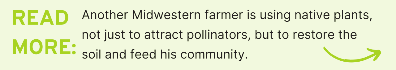 Read More: Another Midwestern farmer is using native plants, not just to attract pollinators, but to restore the soil and feed his community.
