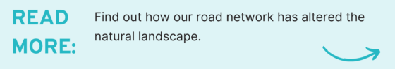 Read More: Find out how our road network has altered the natural landscape.