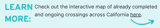 Learn More: Check out the interactive map of already completed and ongoing crossings across California here.