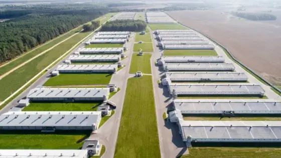 Aerial view of barns.