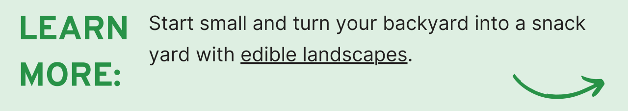 Learn More: Start small and turn your backyard into a snack yard with edible landscapes.