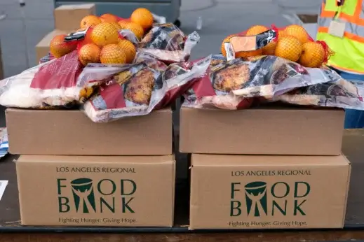 Food bank donations in boxes.