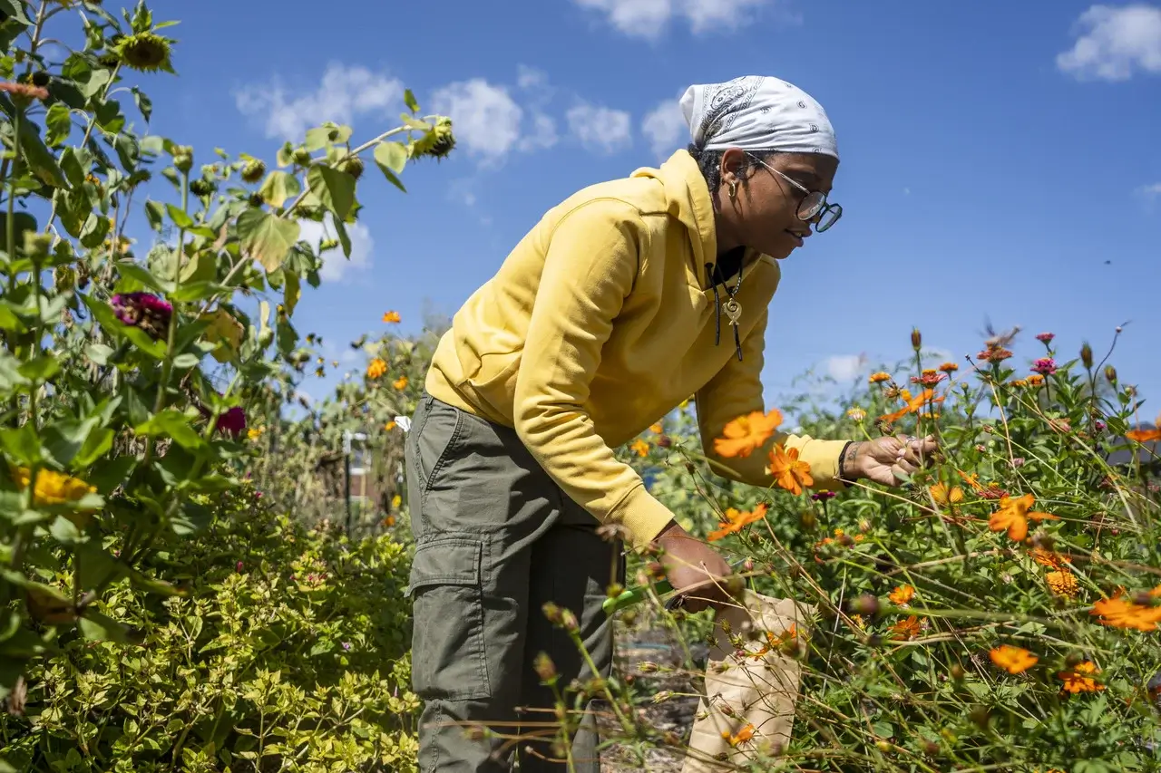 From Sunflowers to Squash: One Detroit Farmer’s Push for Food Sovereignty