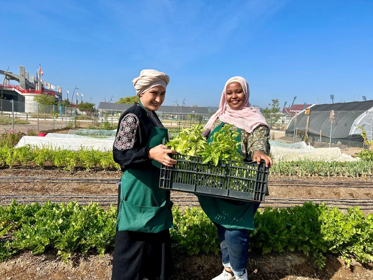 Spotlight On an Urban Farm Helping Refugees and Immigrants Build Community