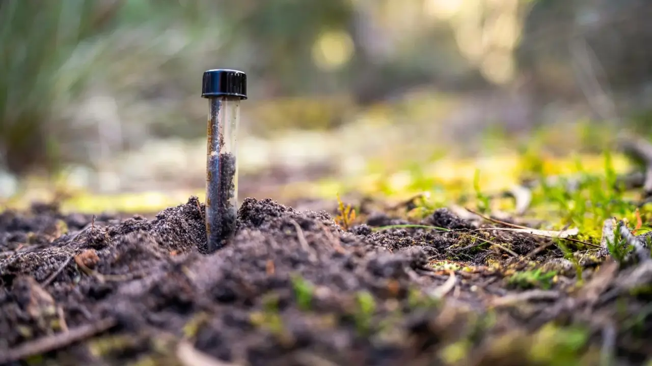 A glass test tube filled with fresh soil stands in the garden bed ready for testing for nutrients.