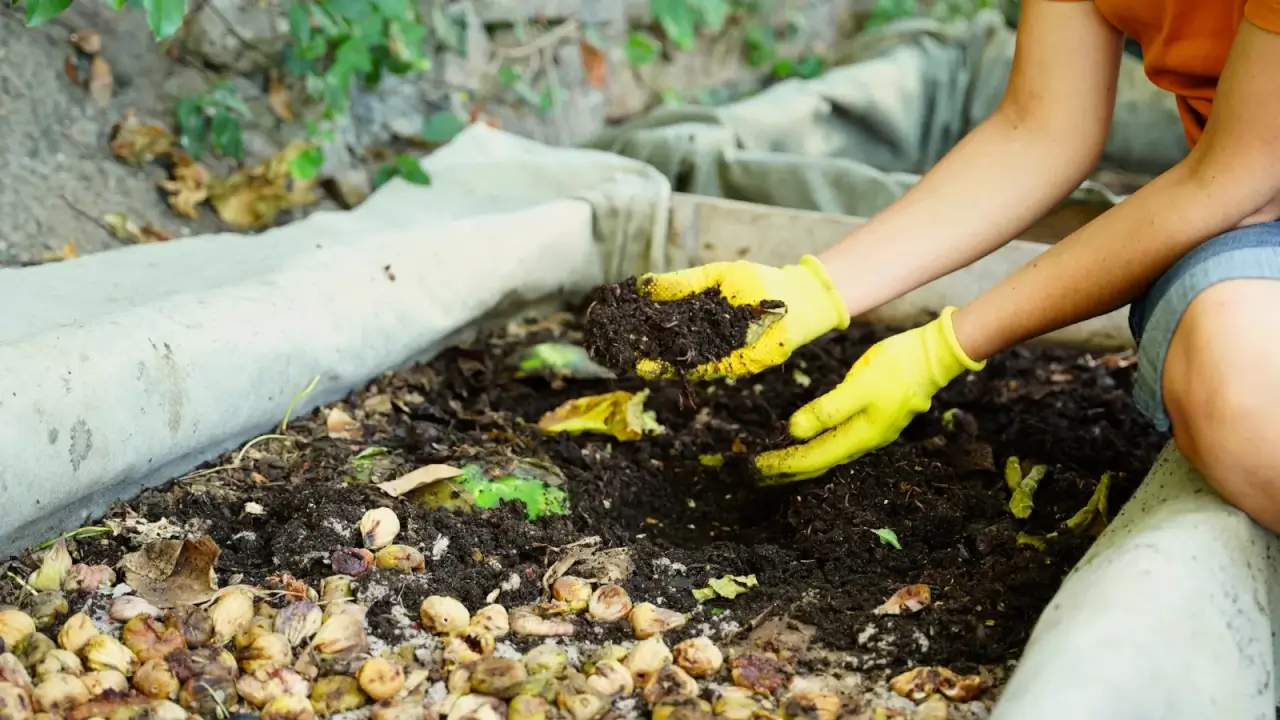 A woman in yellow gloves and an orange T-shirt holds a handful of fresh black compost in a large compost bin full of kitchen and garden waste.