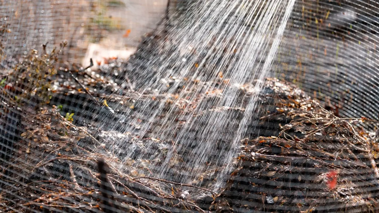 Powerful jets of water pour from a hose onto a large, dark brown compost pile.