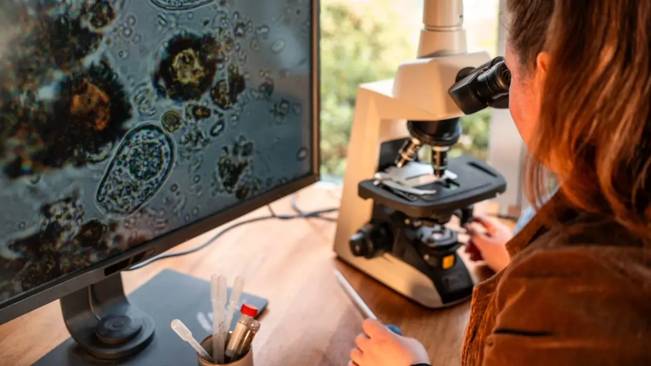 A woman testing soil samples using a microscope in a home lab, displaying the information on a large monitor screen.