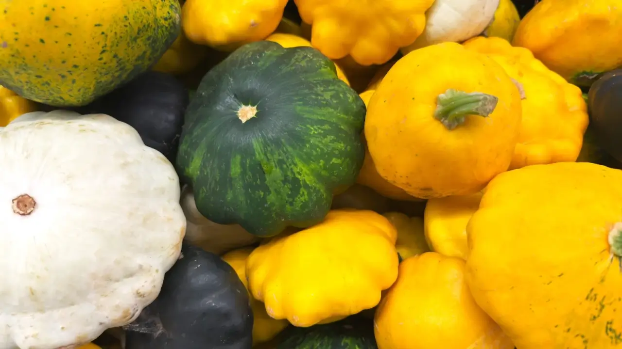 A pile of small pattypan squashes in yellow, green, and white, showing their scalloped edges and smooth, glossy surfaces. 