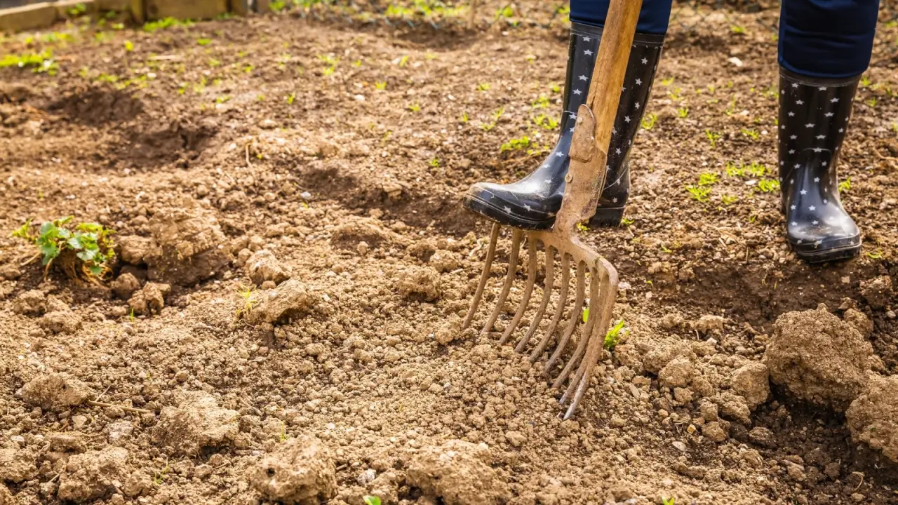 A female gardener in high rubber boots digs into loose brown soil using a garden rake.