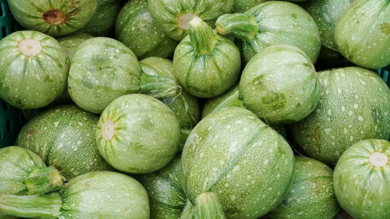 A pile of ripe, round squashes that are soft green with white and dark green markings.