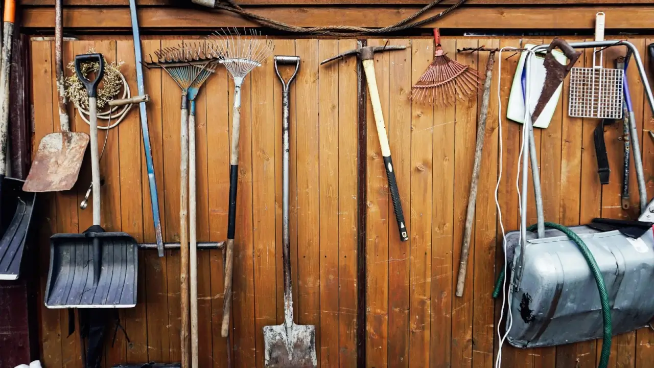 Garden tools including shovels, pitchforks, rakes, hoses and others are hung on the wooden wall of the shed for storage.