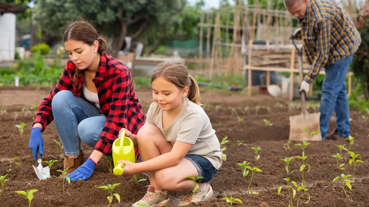 A family of farmers tending a farm lot, appearing to involve a man and two girls doing work on a field with seedlings