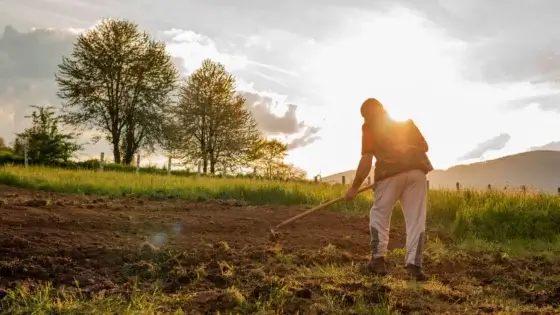 A person working on their February soil checklist, tilling the ground to prepare it for the new season's crops