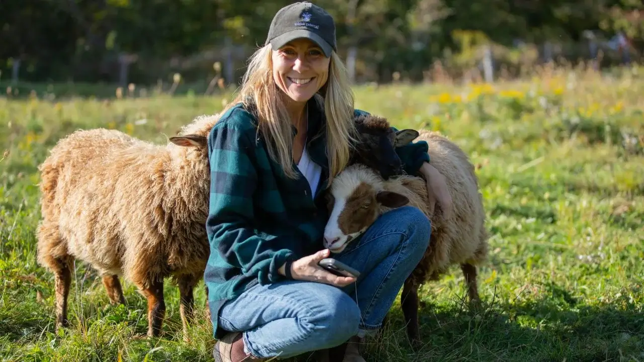 On a Maine Farm, Regeneration Starts With the Sheep